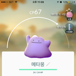 [EXO] 나 메타몽 <b>잡음</b>