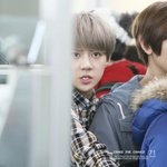[EXO] 오미자때... <b>새</b>호니한테 치이면 미래가 답없다