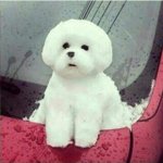 [드루와] 가정형편어려워서 문제집 못사는애들있어ㅠ?