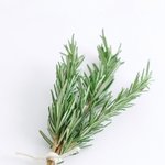 [댓글부탁해] 짝<b>남</b> <b>속</b>마음 좀 알려줘 ㅜㅜ