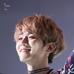 [EXO] 백현이 보고 <b>진정</b>하자