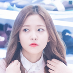 [댓글부탁해] 근데 왜 <b>예리</b>는 늦게 합류한거야?