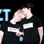 [EXO] 아니 너네 이거 봤냐