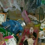 [동행세상] <b>사설</b>보호소 컨테이너에서 태어난 톰