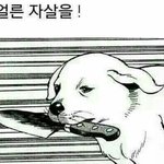 ㅋㅋㅋㅋㅋㅌㅋㅋ 아나 히메컷 망함 (사진이써