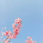 <b>미샤</b> 4D마스카라도 원플이양??