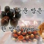 [EXO] 밑에애때매 생각나서 <b>올림</b>