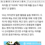 [아이콘] 아진심시위하러가야되나