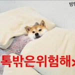 [방탄소년단] 팬톡밖은 <b>위험</b>하다..