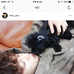 [EXO] ?댓글때문에 그럼?