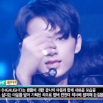[세븐틴] ㅅㄷ) <b>인</b>이어 보면서 느낀건데