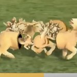<b>이</b> 사진을 본 후 느낀<b>점</b>을 쓰시오
