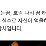 [이삐] 내가 <b>일욜</b>날 꿈을 꿨는데.