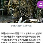 적당히를알아야할꺼같은소속사
