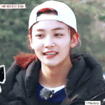 [세븐틴] 얘들아 우리 정한이한테 사기꾼이라는 말 <b>자제</b>하자