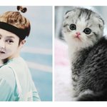 [시우민] 이거 넘나 <b>슈</b>냥이다 >.<