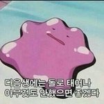 나도 홍일점인데