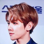 [EXO] 난 <b>코</b> 변백현 닮고싶음 진짜