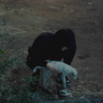 [EXO] 오늘 웆우의별이 솔직히 멍뭉이 60퍼센트 하드<b>캐리</b>