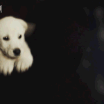 [EXO] <b>팔랑</b>~<b>팔랑</b>~