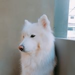 [EXO] 얘엄청귀여웠는데