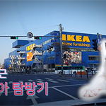 [고양이] 고양이 <b>용품</b>사러 이케아 [ IKEA ] 에 다녀와 봤어요~