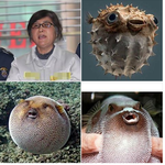 <b>미묘</b>하게 닮지 않았나요????