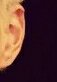 [EXO] 이 귀의 <b>정답</b>은