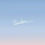 [세븐틴] 캐러뜰!