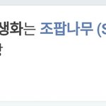 [방탄소년단] 짐니 <b>탄생화</b>ㅋㅋㅋㅋㅋㅋ