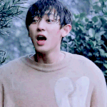 [EXO] 찬열이는 그냥 <b>지혈</b>할 풀을 찾으러 뛰어댕기다