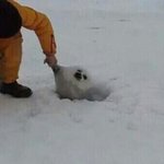 [ㅋㅋㅋㅋㅋ] 투니<b>버스</b> 미쳤냐 ㅋㅋㅋㅋㅋ