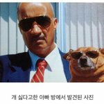 나오늘 생일인데 친구가 써준 문자보고 울었어ㅋㅋㅋㅋㅋㅋㅋ