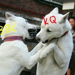 [블락비] 멱살잡이.<b>jpg</b>