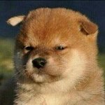 [댓글부탁해] <b>성우</b>되면 다른 직업도 가질수 있음???