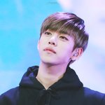 [BAP] 우리 애들 너무 이뻐