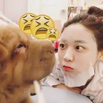 [드루와] !!!??<b>설현</b> 이거 뭐야????