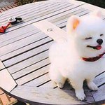 이름 <b>첫인상</b> 써줌