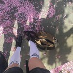 조카 봄이꼴려서 올리는 <b>배경들</b>