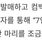 [방탄소년단] <b>반마리</b> 조금 넘게...