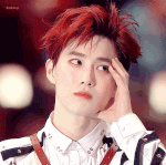 [EXO] 이거언제였지