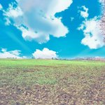 악동뮤지션이 <b>천재인</b> 이유ㅇㅇ