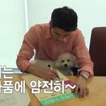 [EXO] 비비왜이렇게귀여운<b>지아</b>는사람