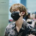 [EXO] 이거 완전 <b>화투</b>백현의 연장선 아니냐?