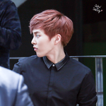 [EXO] 검은셔츠 <b>vs</b> 흰셔츠 ㅊㅂ