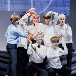 [방탄소년단] 둥인진 몰겠는데 이것바바