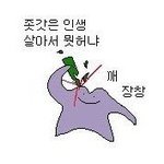 이제 <b>제사</b> 안할때도 되지않았나