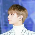 [세븐틴] ㅅㄷ 비종상회담보다가