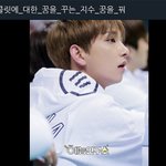 [세븐틴] ㅋㅋㅋㅋ얘능얀구소