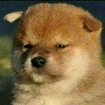 [조언부탁해] 안경점에서 시력 <b>측정</b> 해본 판녀들!